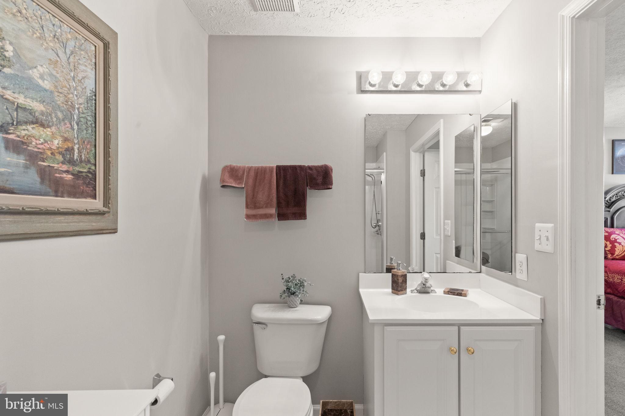 16 Brook Farm Court, Unit 16D Perry Hall, MD 21128 - Photo 15 of 23 a bathroom with a toilet a sink and mirror