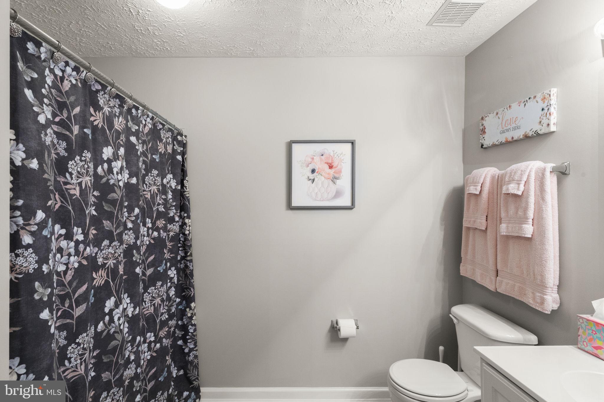 16 Brook Farm Court, Unit 16D Perry Hall, MD 21128 - Photo 18 of 23 a white toilet sitting next to a shower curtain