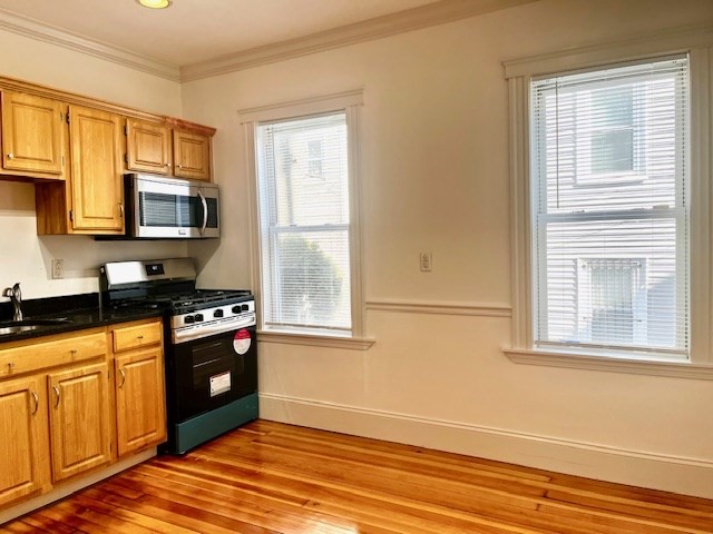 87 Bailey Street, Unit 1 Boston, MA 02124 - Photo 9 of 11 a kitchen with granite countertop a stove a sink and a microwave