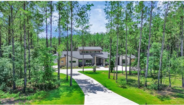 a view of a park with large trees