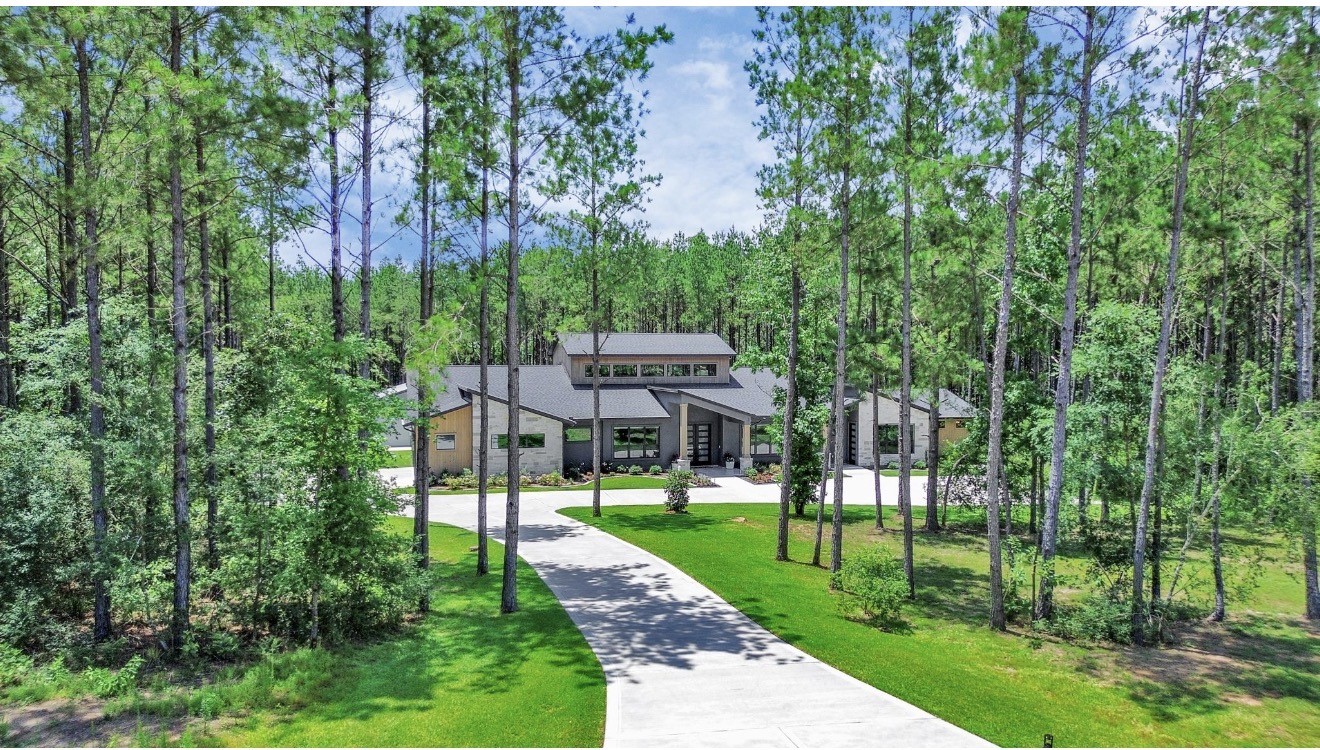 a view of a park with large trees