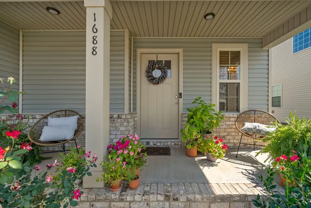 a view of a potted plant sitting in front of a house