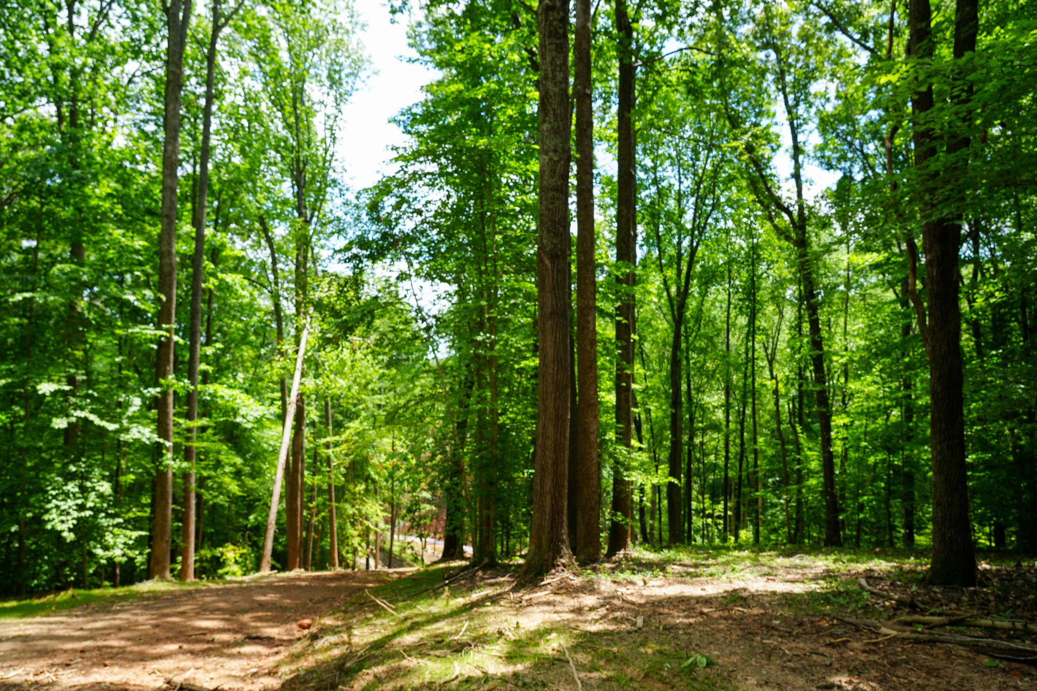 1 Budds Creek Road Palmyra, TN 37142 - Photo 71 of 76