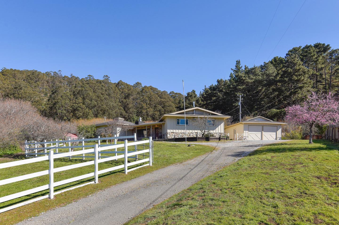 991 Zamora Drive Pacifica, CA 94044 - Photo 5 of 26 a view of a house with a yard and large tree