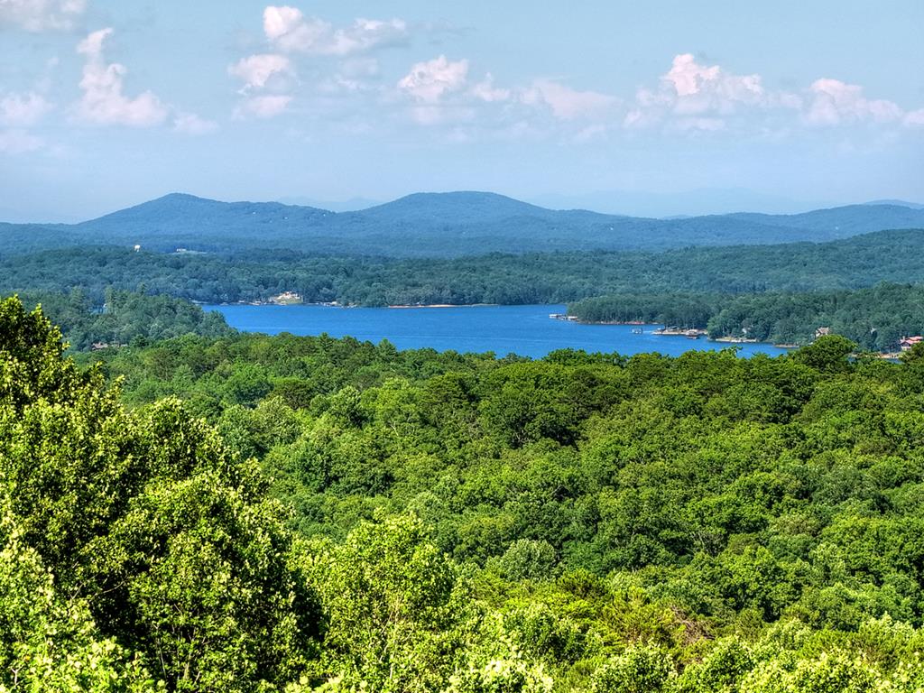 394 Snake Mountain Road Blue Ridge, GA 30513 - Photo 3 of 89 Gallery Image 3