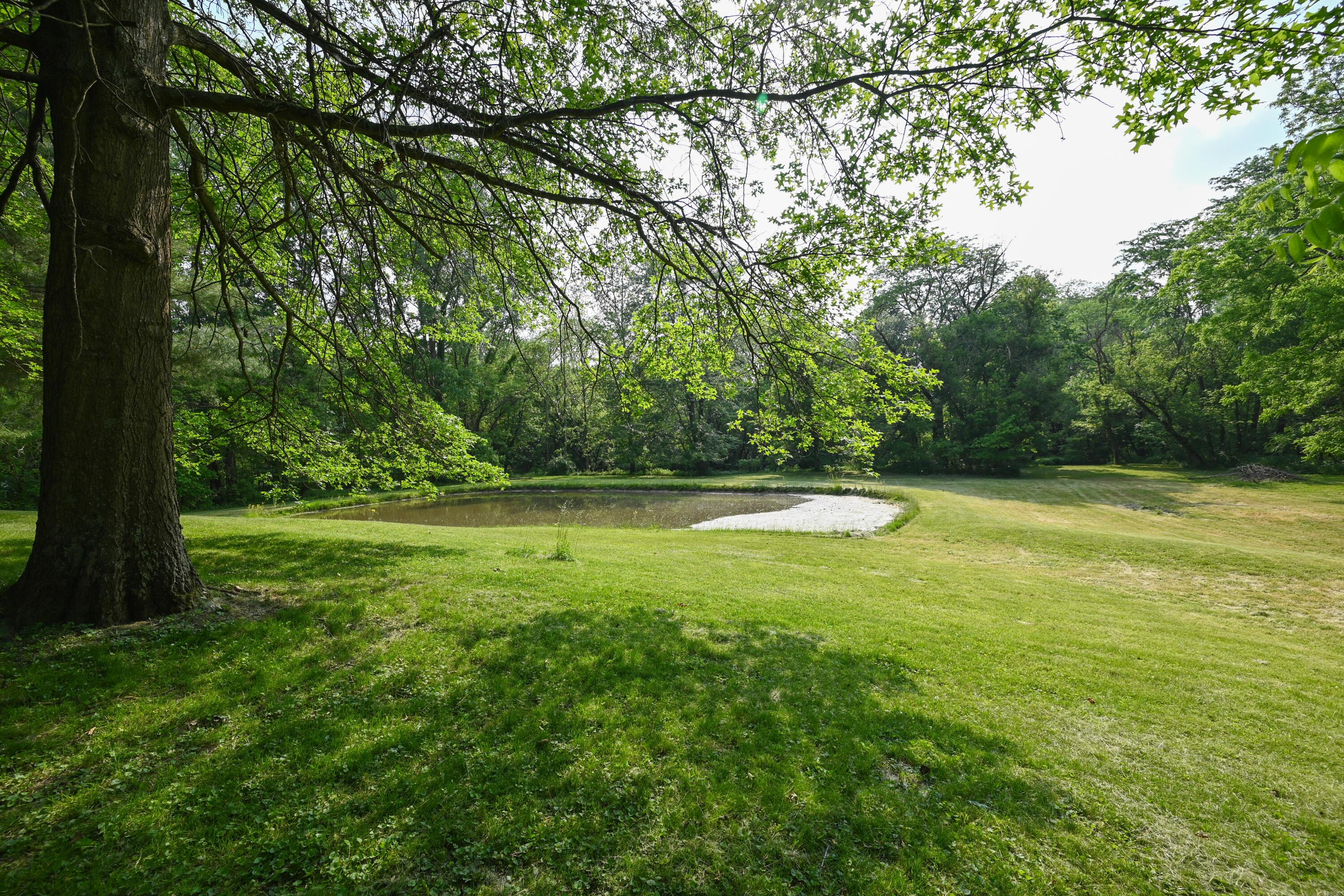 5467 Timpson Road Caledonia, OH 43314 - Photo 49 of 56 DSC_8069