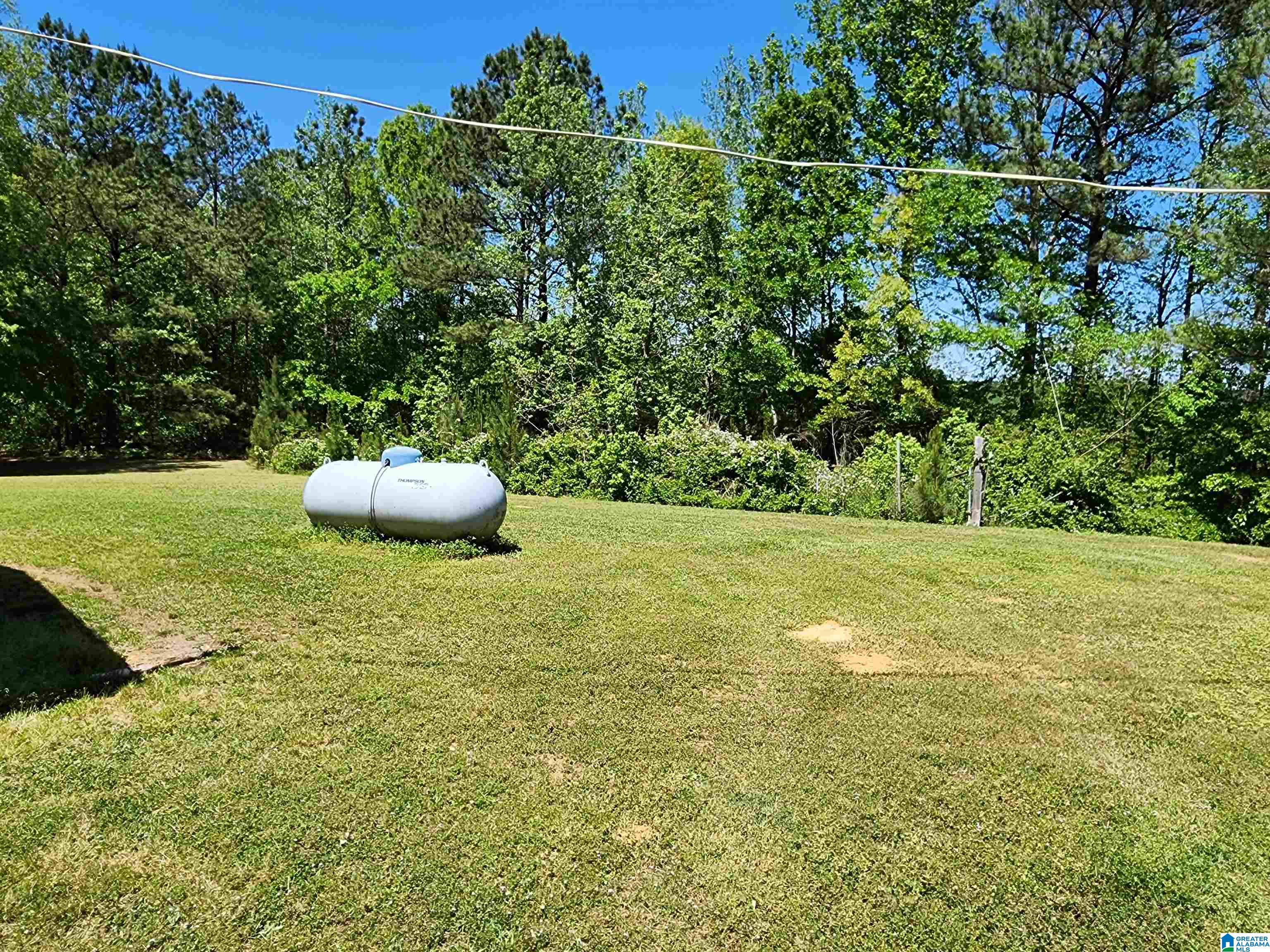 2696 Woolfolk Road Munford, AL 36268 - Photo 7 of 28