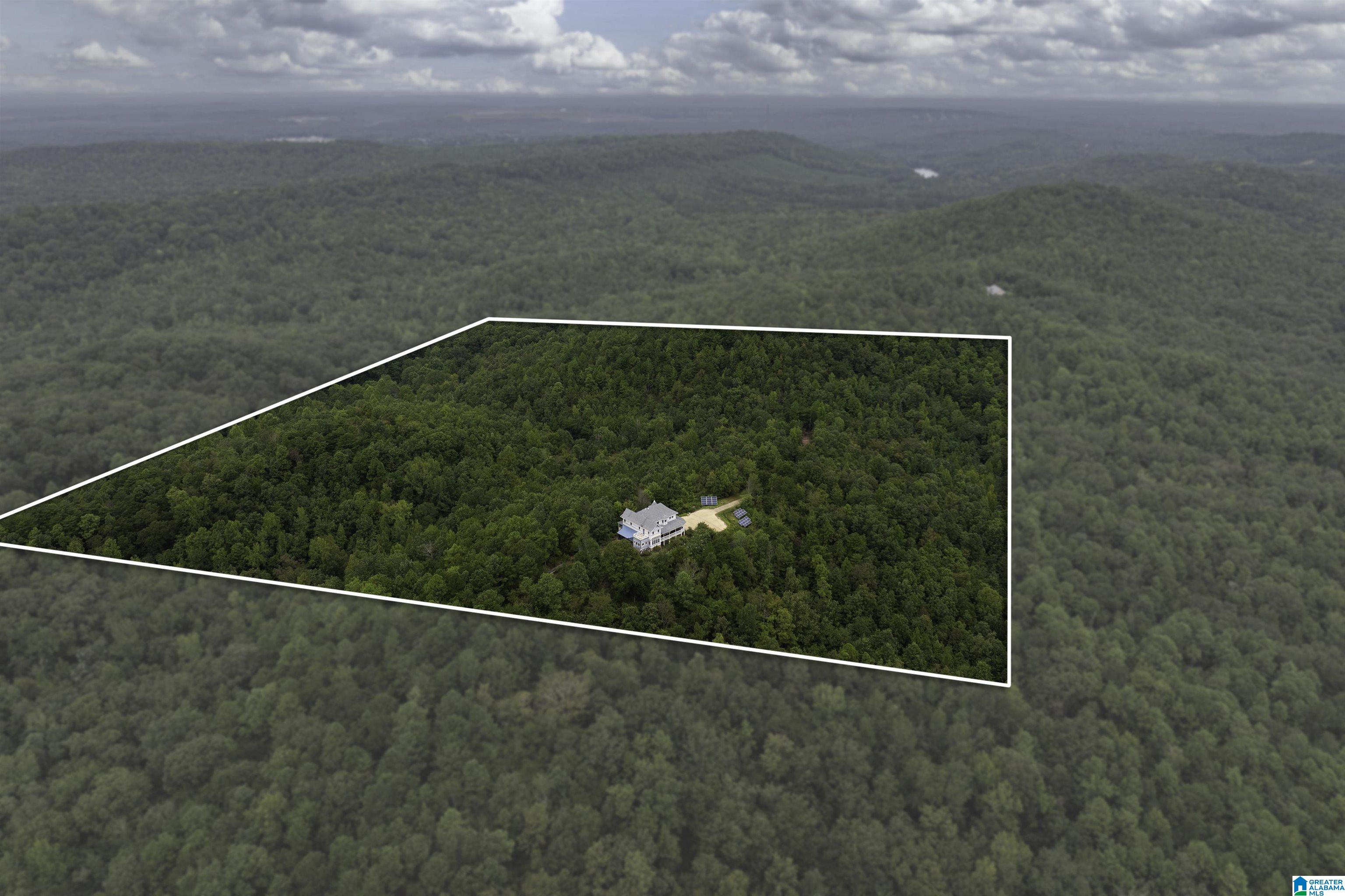 5072 Mountain Valley Road Bessemer, AL 35023 - Photo 6 of 64 Gallery Image 6