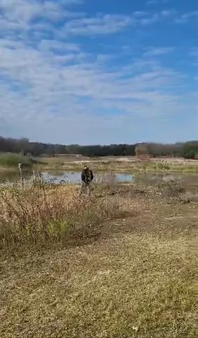 a view of an ocean beach