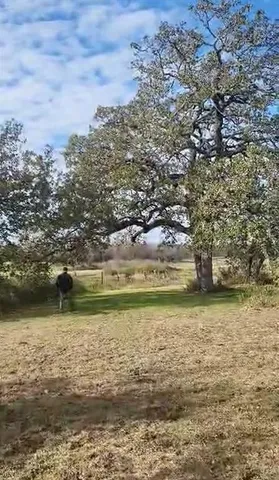 a view of ocean with green space