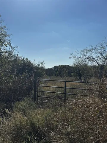 a view of a yard with wooden fence