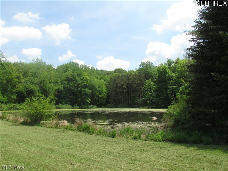 16545 Valley Road Chagrin Falls, OH 44023 - Photo 11 of 13 Gallery Image 11