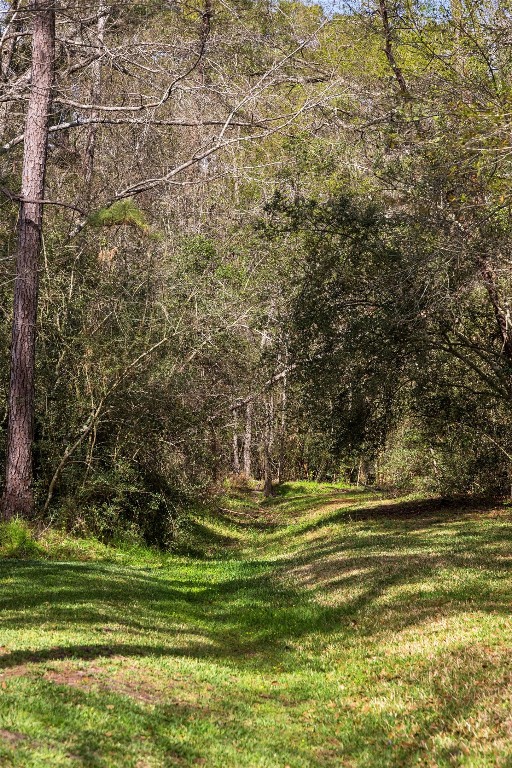 2 North Thundercreek Place Spring, TX 77381 - Photo 41 of 47 The peaceful nature that surrounds you will instantly calm you.