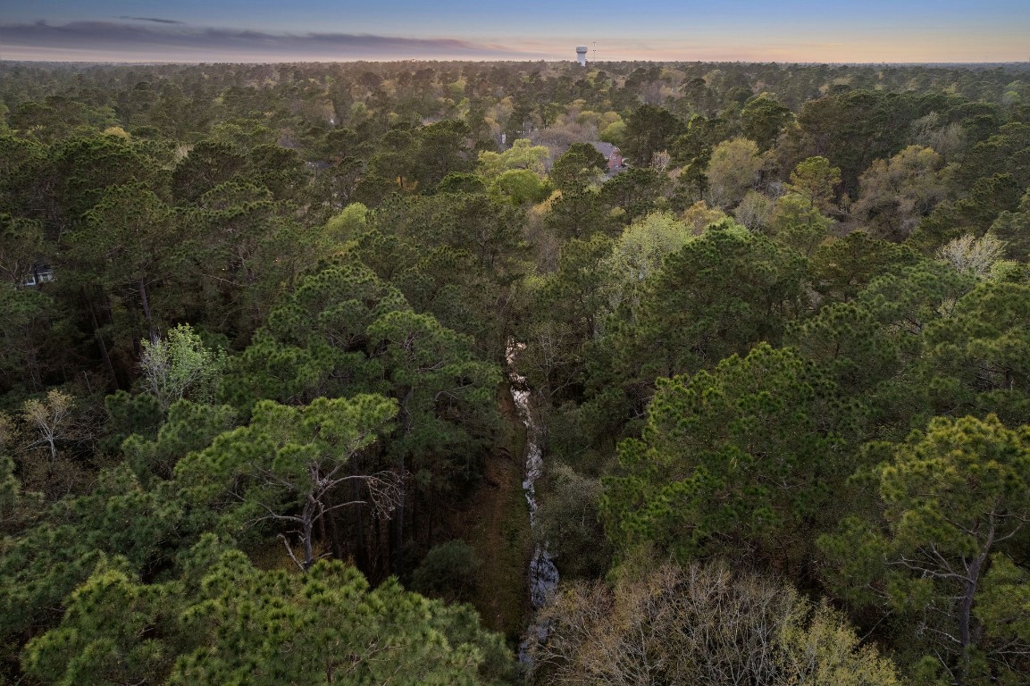 2 North Thundercreek Place Spring, TX 77381 - Photo 42 of 47 Aerial view of a creek in the wooded reserve - you will grow to love this location more each year!