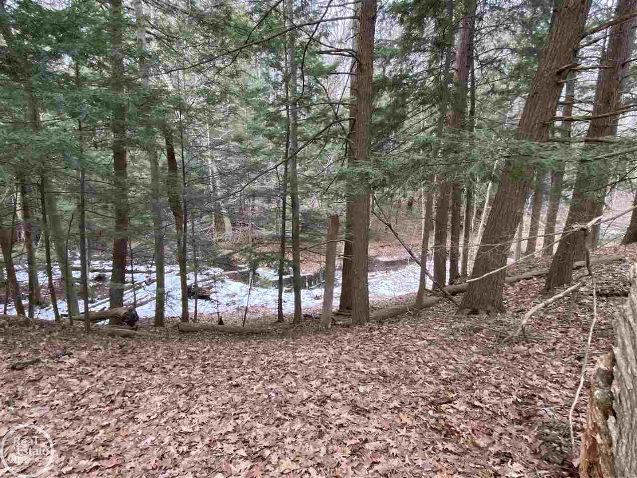 3250 Garlick Road North Street, MI 48049 - Photo 69 of 75 50036047-69.JPG