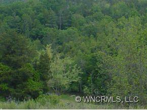 235 Embler Road, Unit 2 Alexander, NC 28701 - Photo 3 of 12 Gallery Image 3