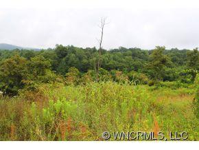 235 Embler Road, Unit 2 Alexander, NC 28701 - Photo 4 of 12 Gallery Image 4