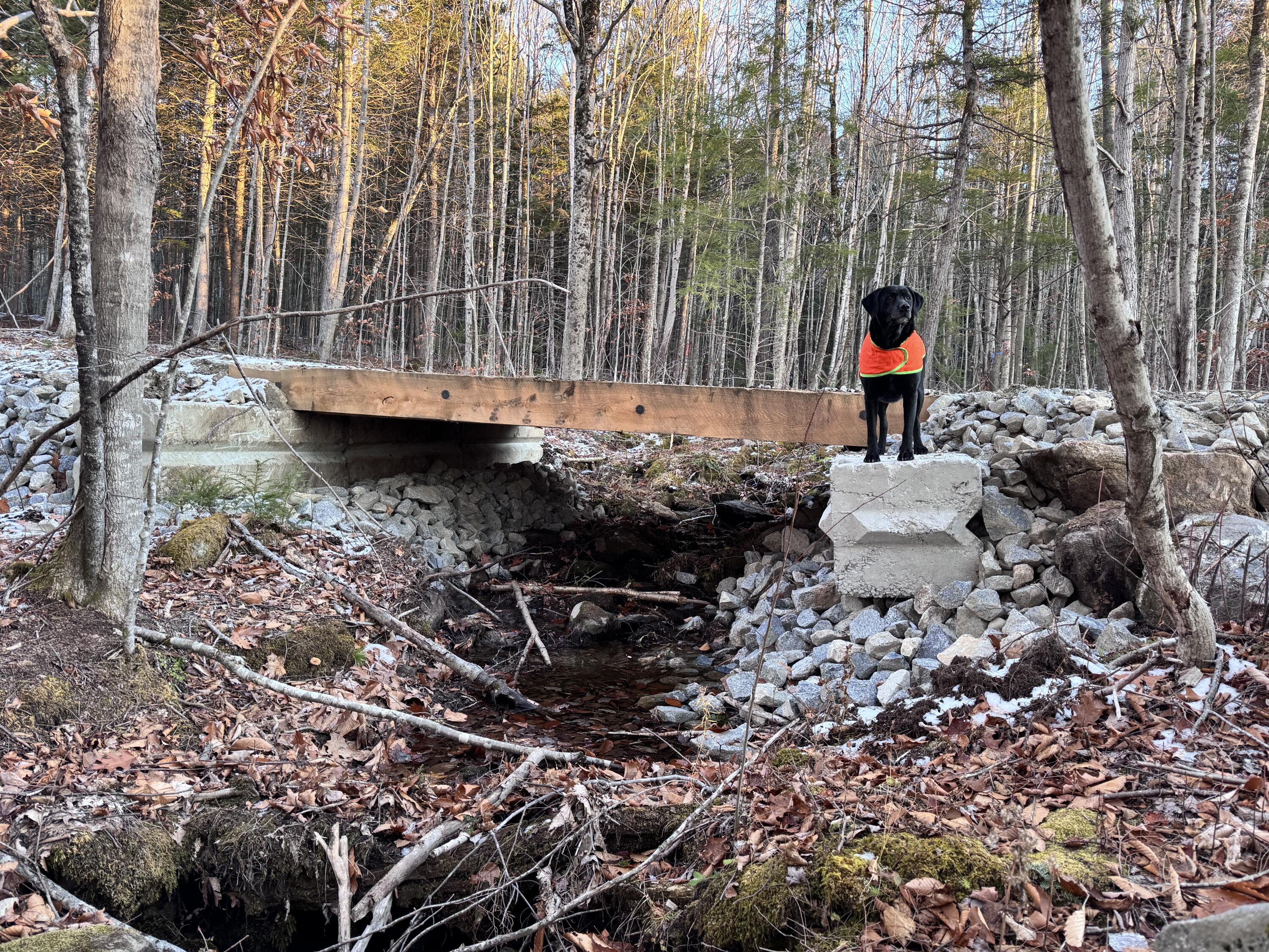0 French Hill Road Bethel, ME 04217 - Photo 13 of 18 Bridge Moxie