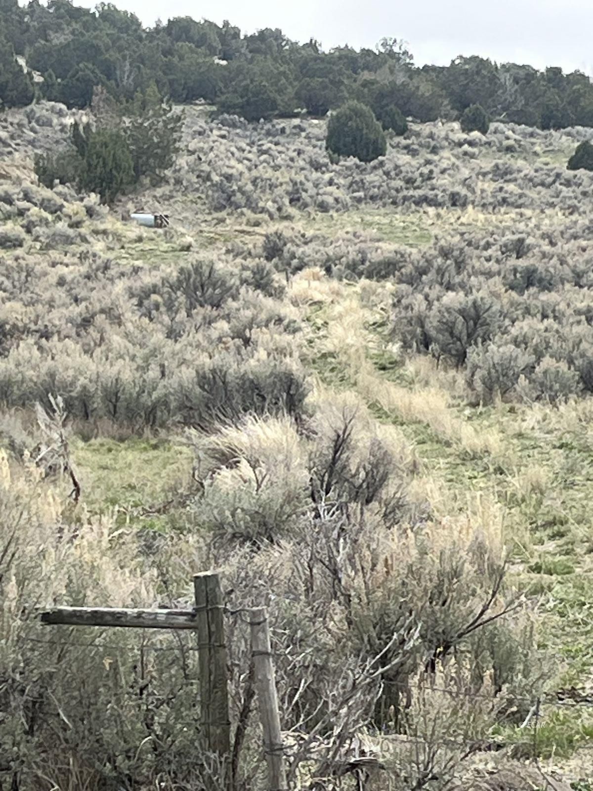 Lower Lamoille/hog Tommy Rd Spring Creek Spring Creek, NV 89815 - Photo 3 of 9