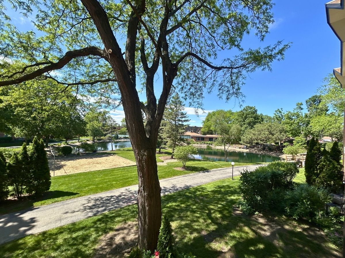 1206 New Wilke Road, Unit 206 Arlington Heights, IL 60005 - Photo 4 of 17 a view of lake view