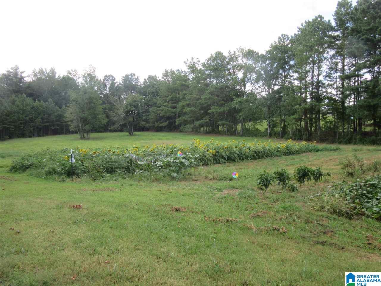 3260 Highway 27 Oneonta Al Oneonta, AL 35121 - Photo 31 of 37
