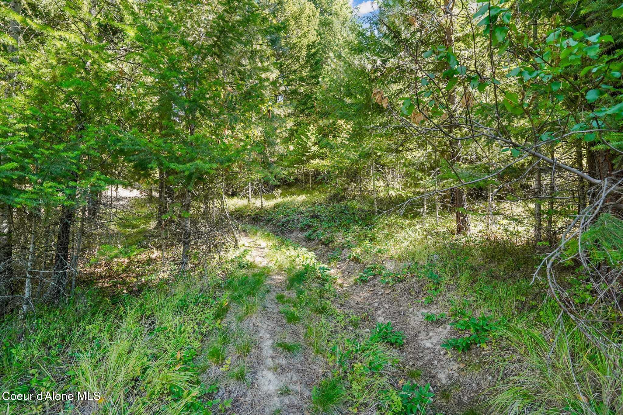 273 Paradise Valley Road Bonners Ferry, ID 83805 - Photo 24 of 37 Trails for your morning coffee