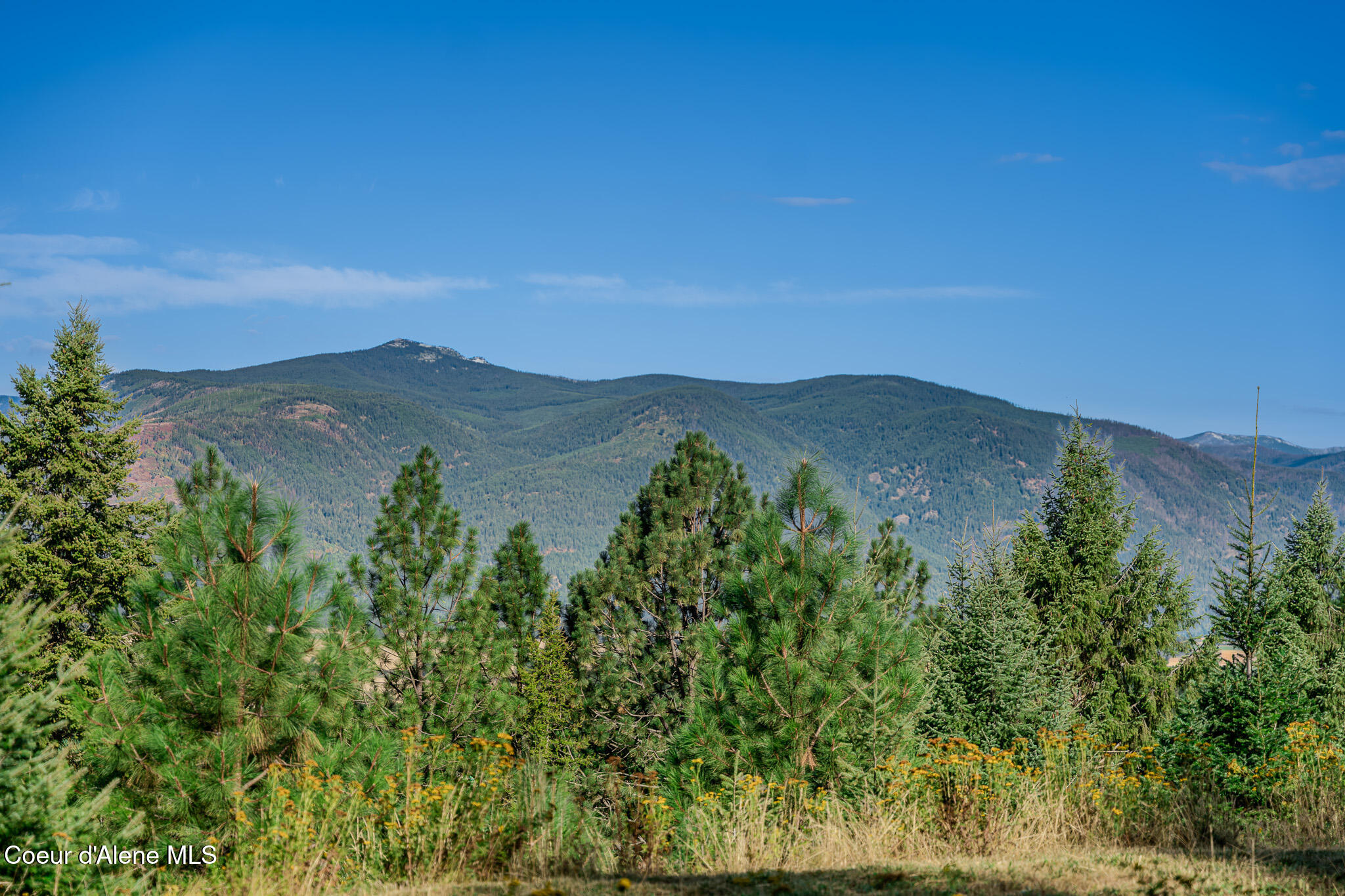 273 Paradise Valley Road Bonners Ferry, ID 83805 - Photo 28 of 37 Watch the seasons change from here