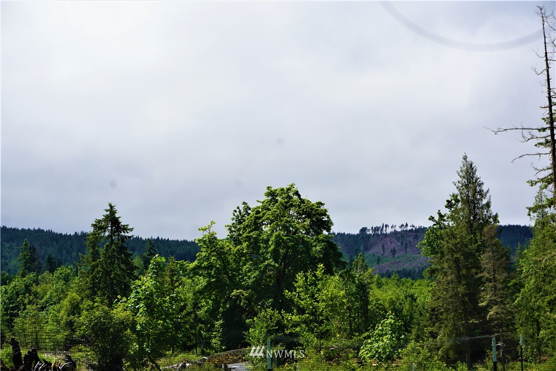 4512 South Old Mill Road Port Angeles, WA 98362 - Photo 26 of 39 Gallery Image 26