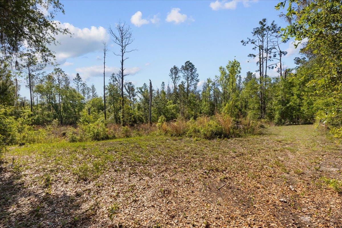 5483 Puckett Road Perry, FL 32348 - Photo 44 of 54