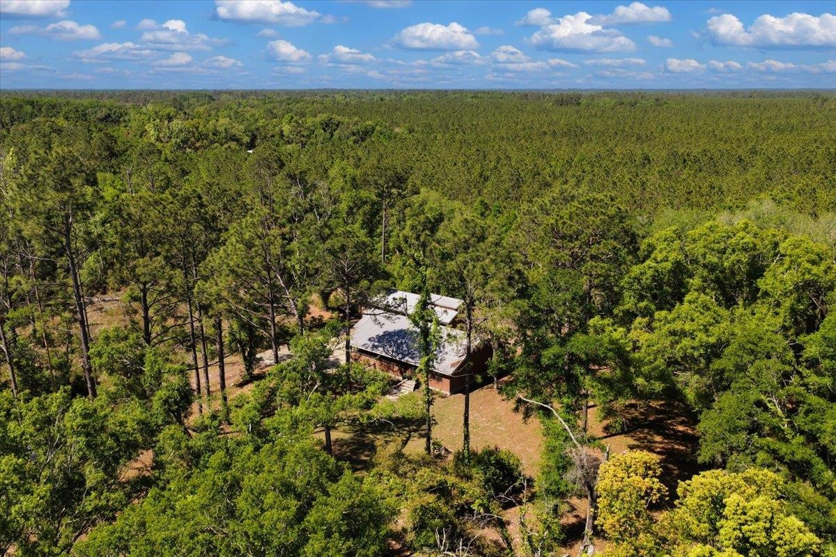 5483 Puckett Road Perry, FL 32348 - Photo 46 of 54