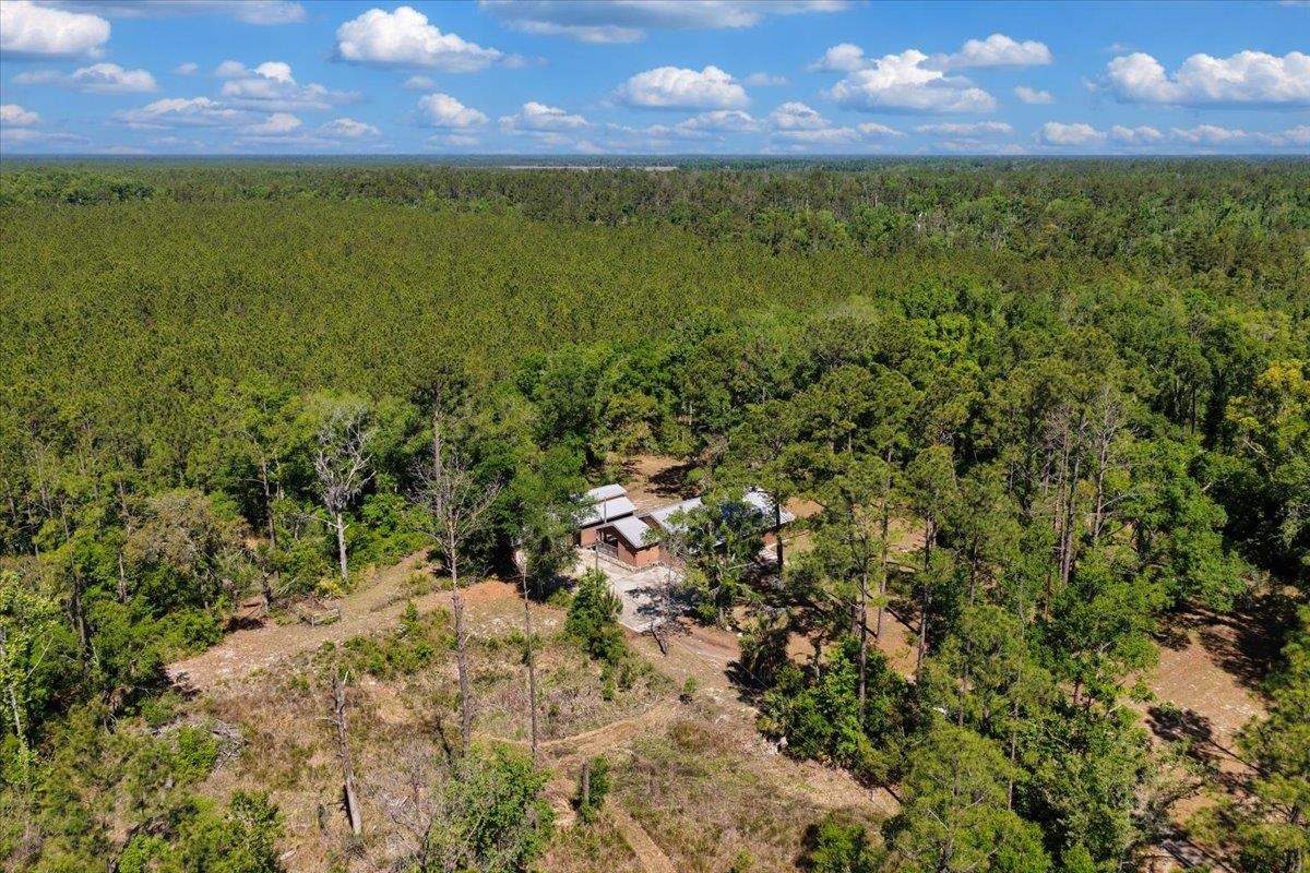 5483 Puckett Road Perry, FL 32348 - Photo 47 of 54