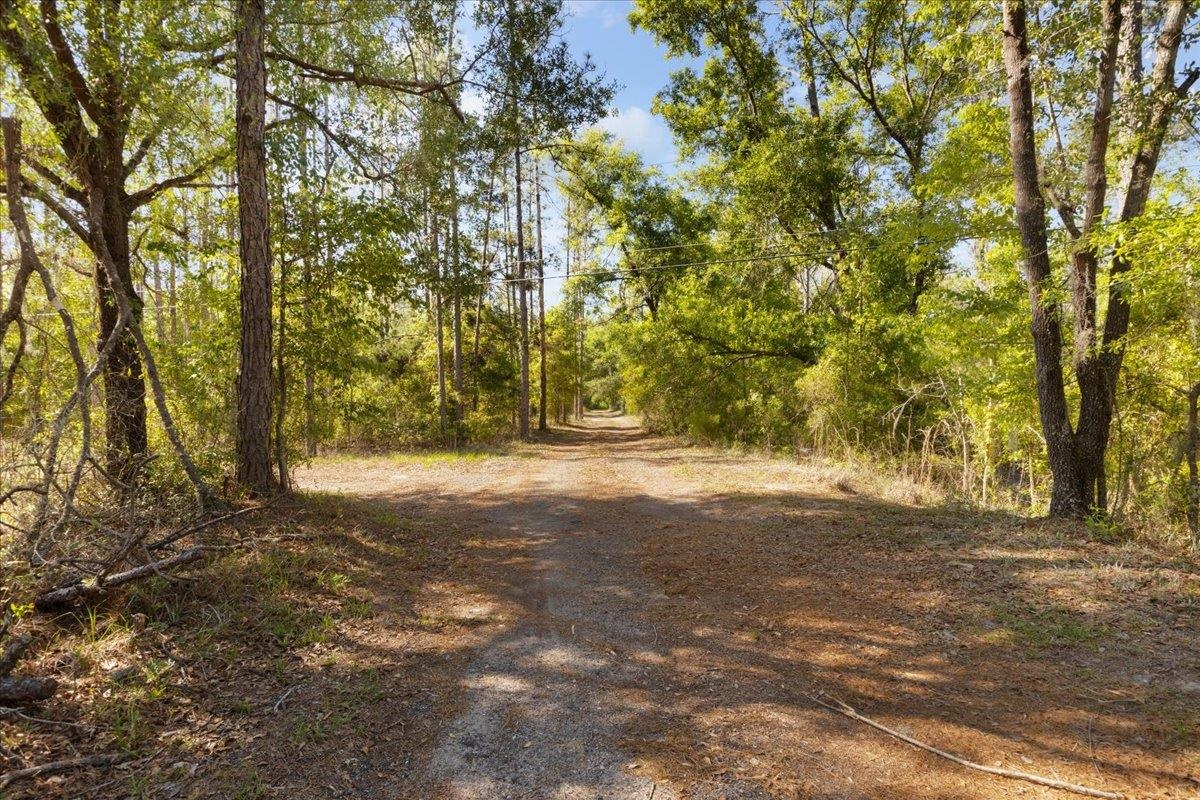 5483 Puckett Road Perry, FL 32348 - Photo 8 of 54