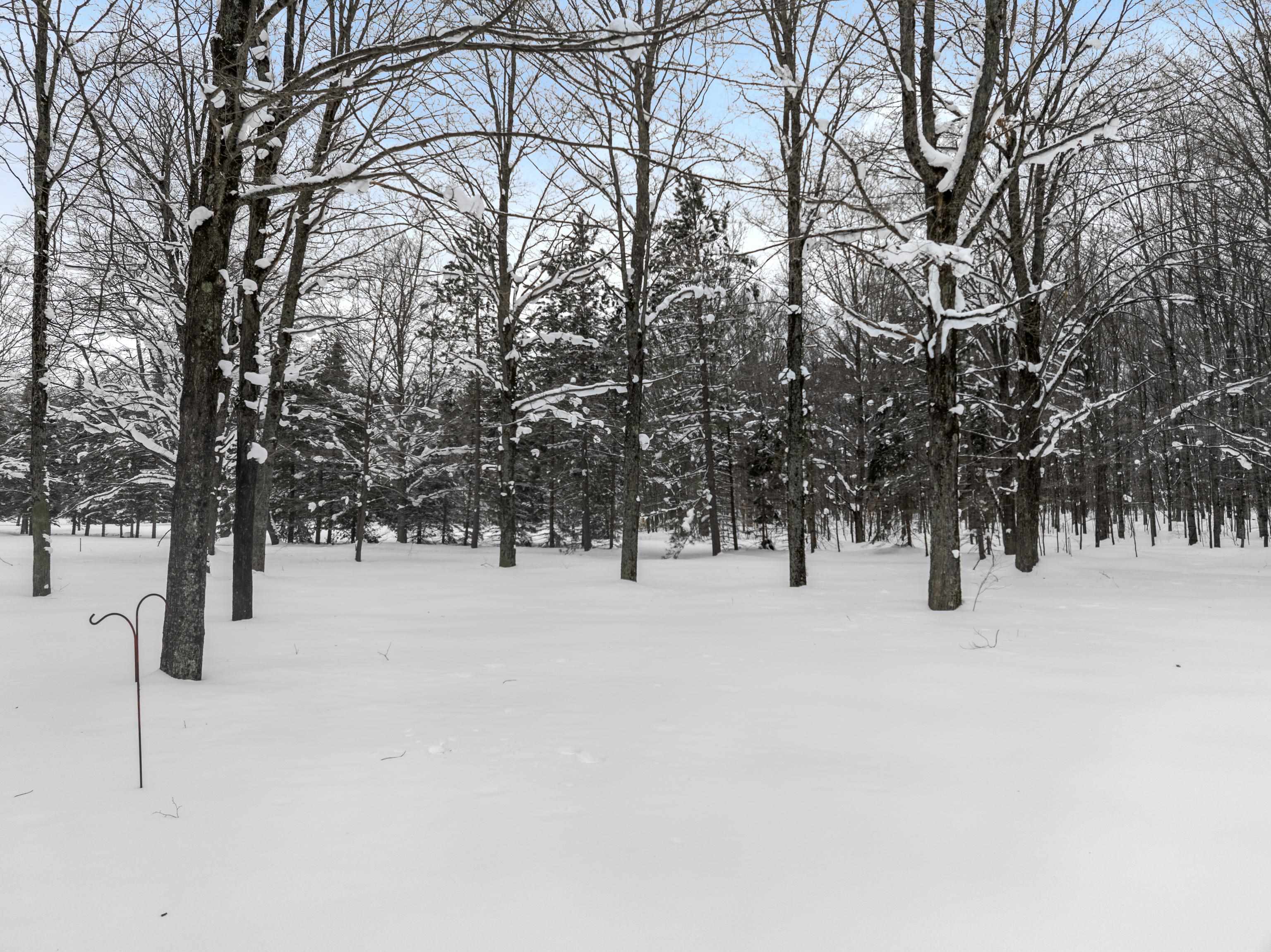 8460 Covert Road Northeast Mancelona, MI 49659 - Photo 39 of 51 1942493-e2f4873d-98fc-4c48-ab3f-7c0bf92d1dfc.JPG