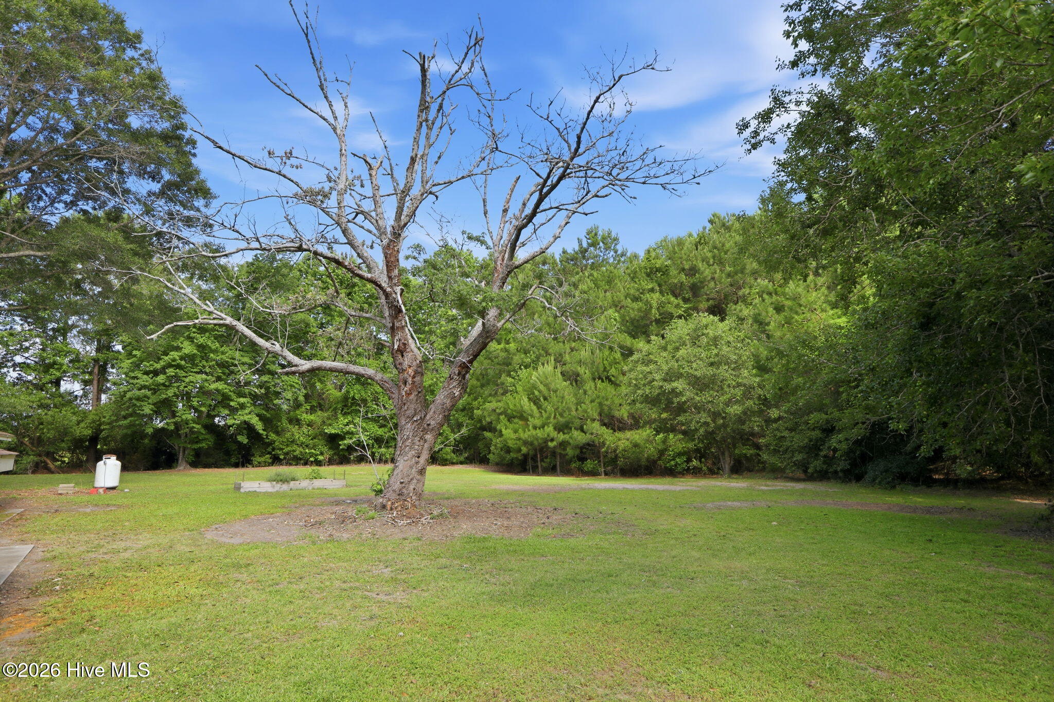 284 Laurel Road Beaufort, NC 28516 - Photo 37 of 41 Sideyard