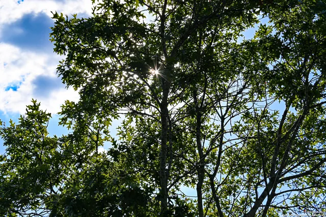 $2,000,000 | Tract 3 Jungfrau Hill Road, Comfort, TX 78013