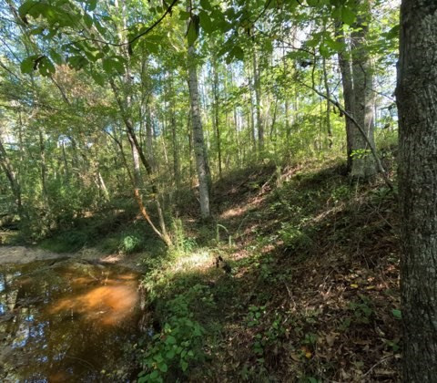 1005 Spring Hill Road Wesson, MS 39191 - Photo 40 of 51 Photo 40