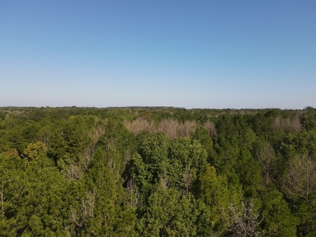 1005 Spring Hill Road Wesson, MS 39191 - Photo 4 of 51 Photo 4