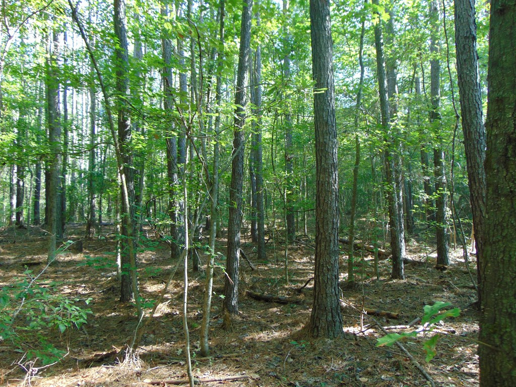 1005 Spring Hill Road Wesson, MS 39191 - Photo 9 of 51 Photo 9