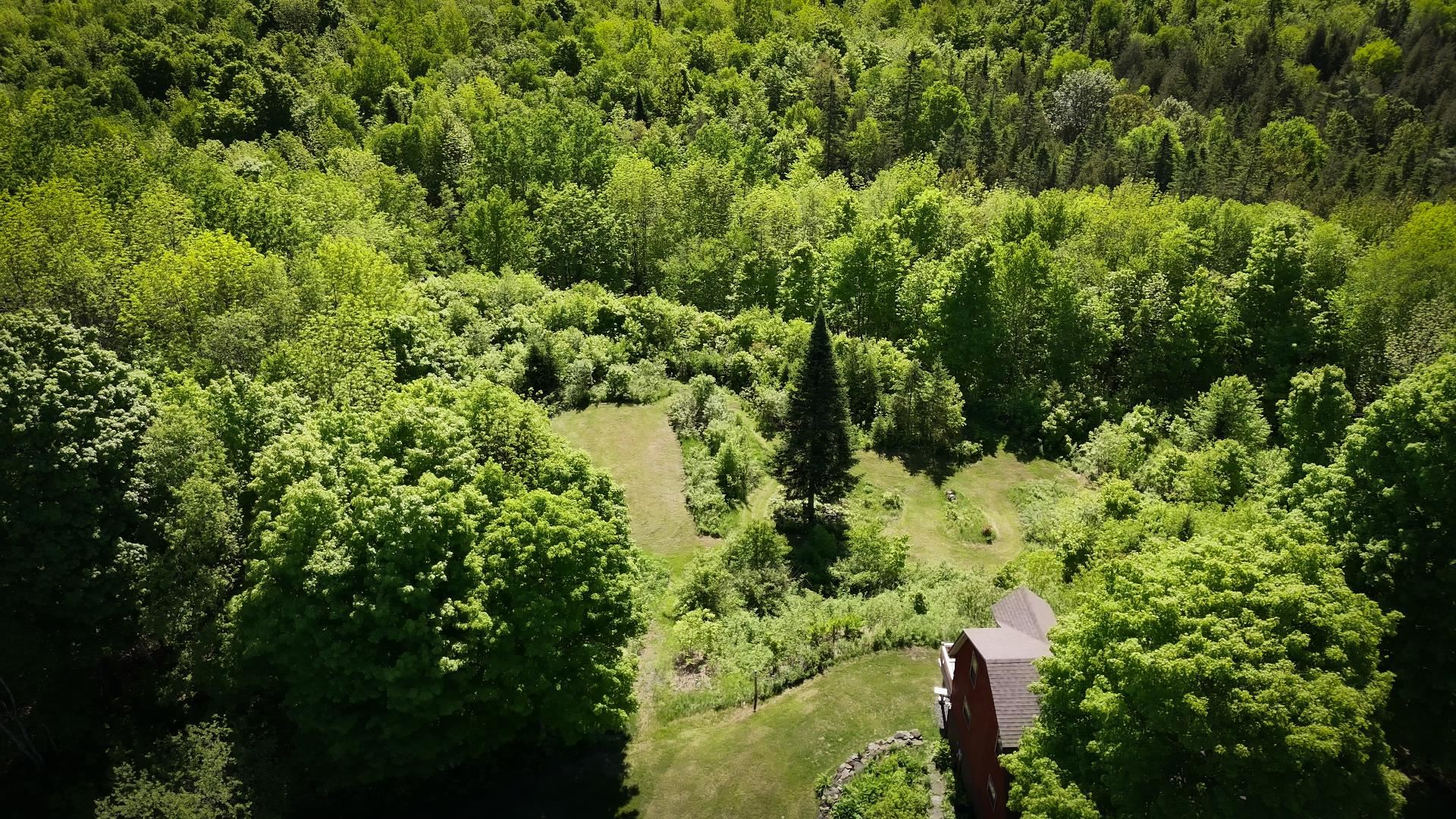 785 Leroux Road Wheelock, VT 05851 - Photo 48 of 57