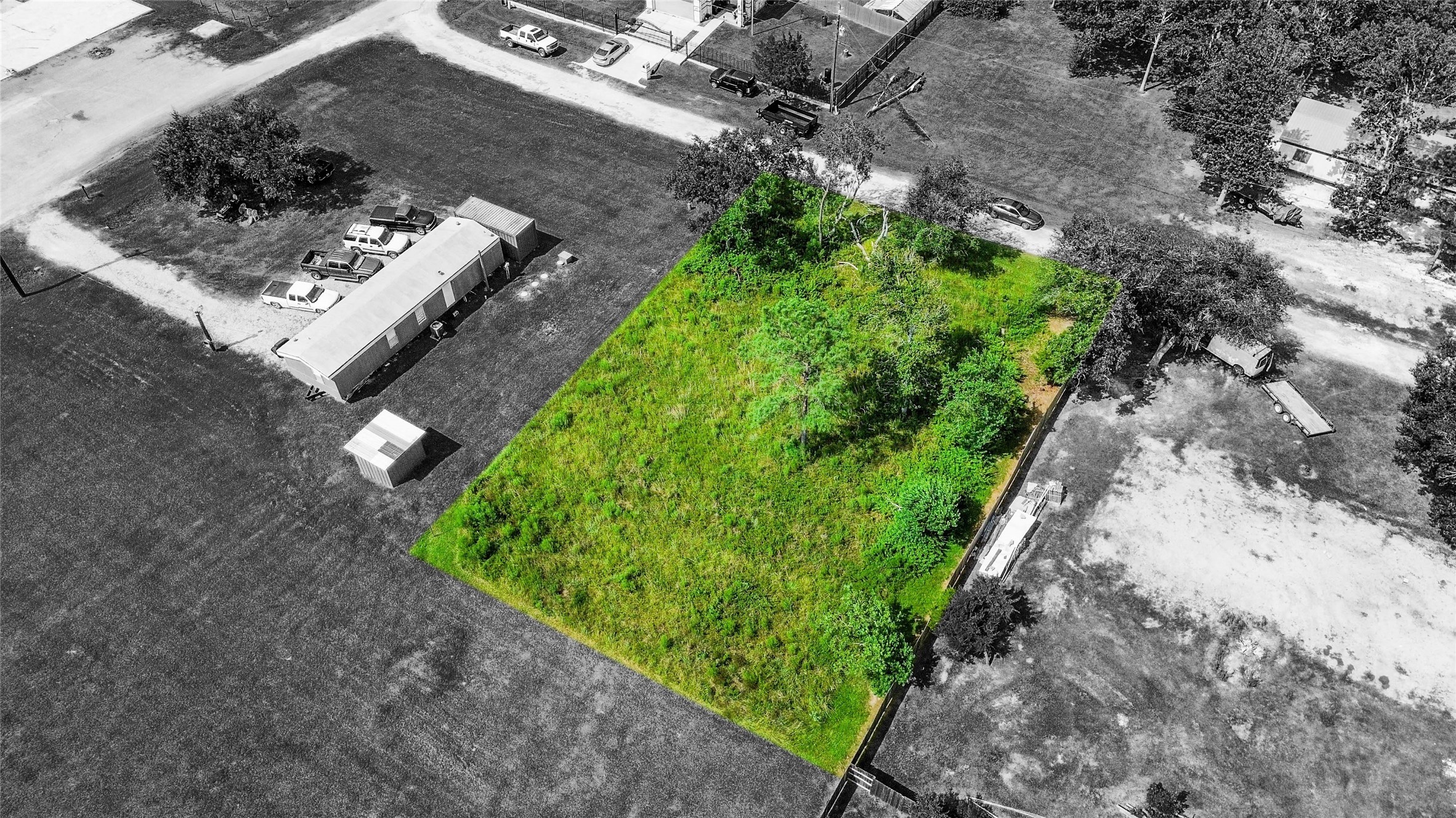 a view of a backyard with plants