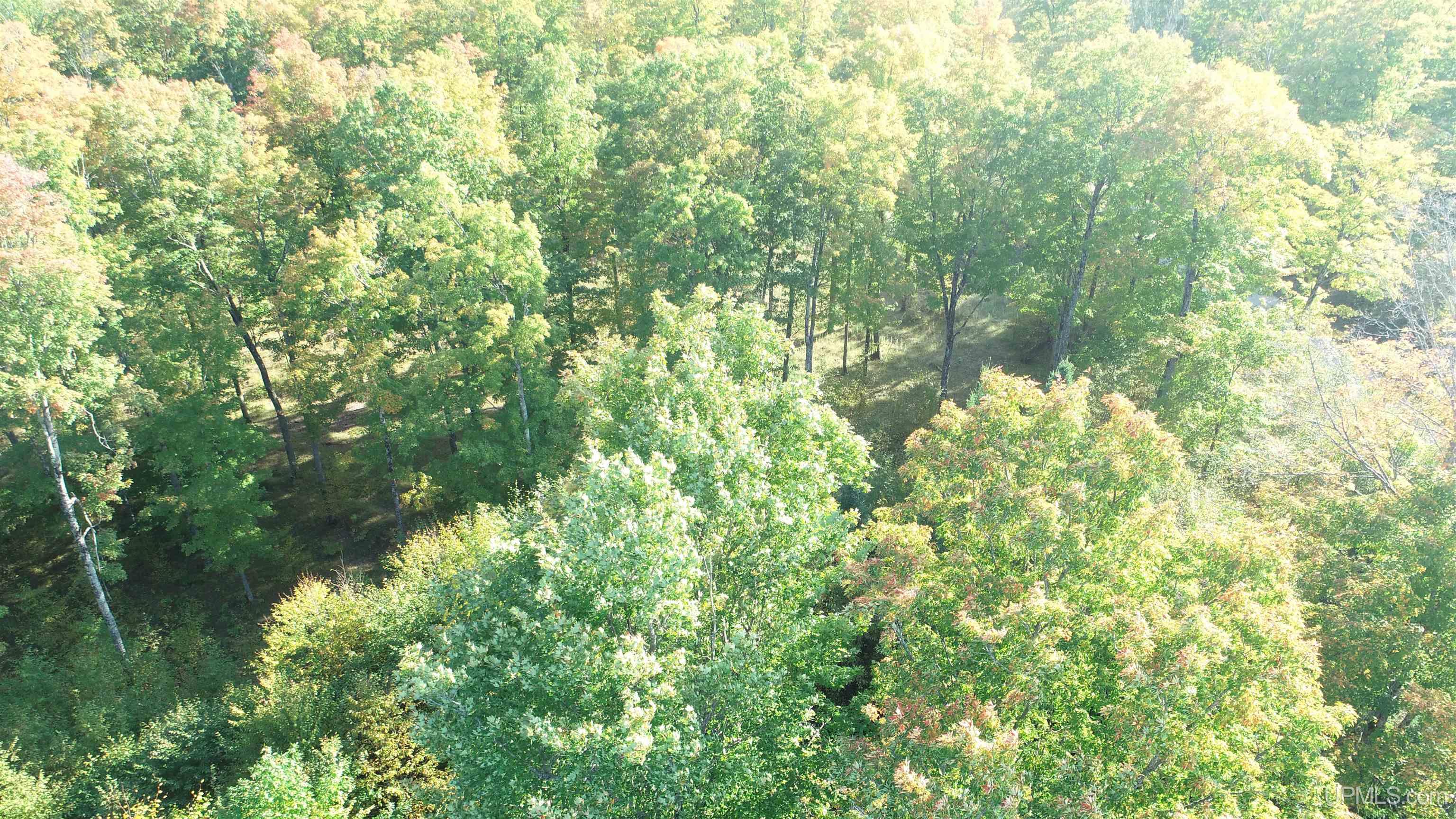 18856 Vega Road Hermansville, MI 49847 - Photo 16 of 23