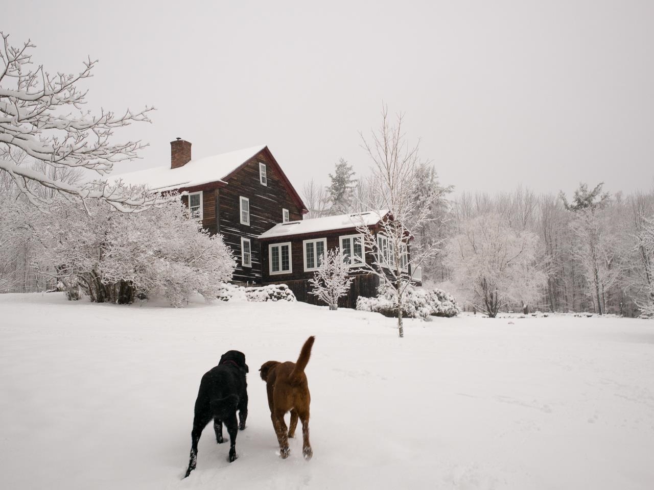 1164 Collins Road Halifax, VT 05301 - Photo 40 of 40 Gallery Image 40