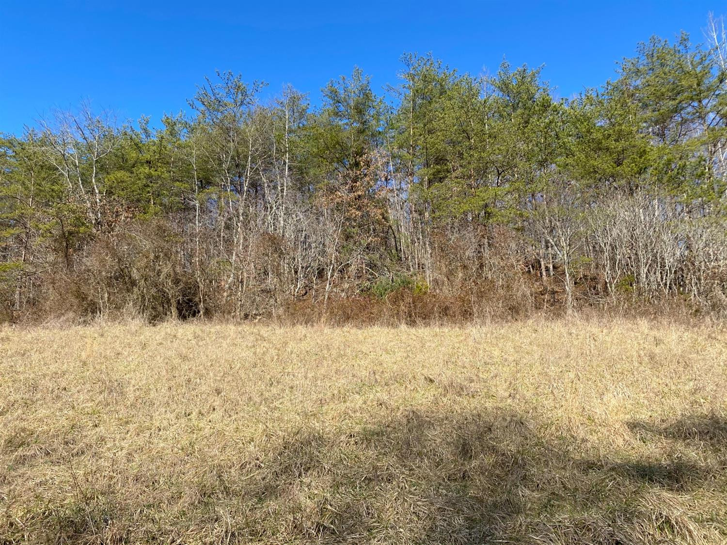999 House Road London, KY 40741 - Photo 5 of 10 Photo 5