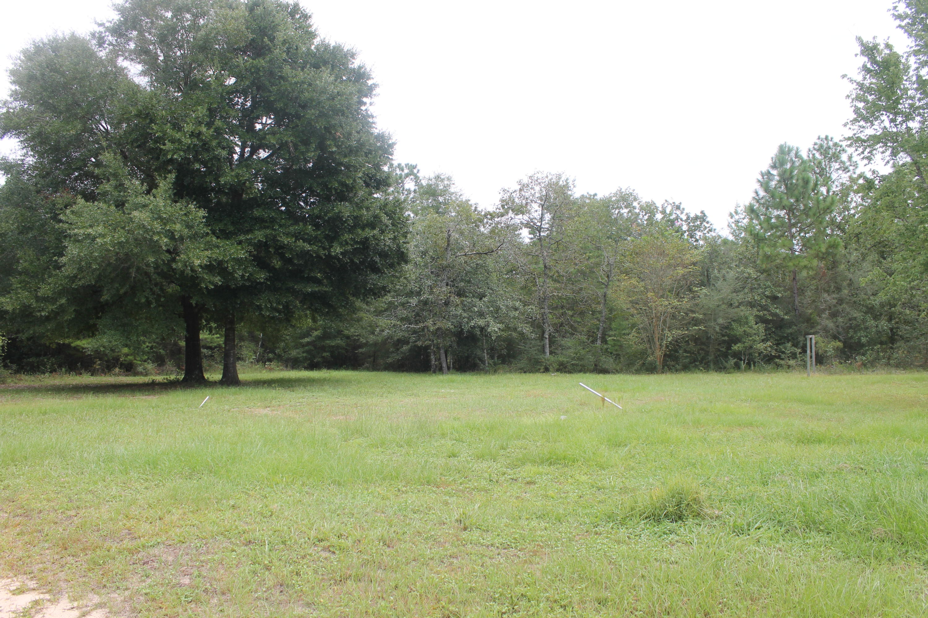 94 Sager Lane Crestview, FL 32539 - Photo 1 of 38 a view of a field with a trees in the background