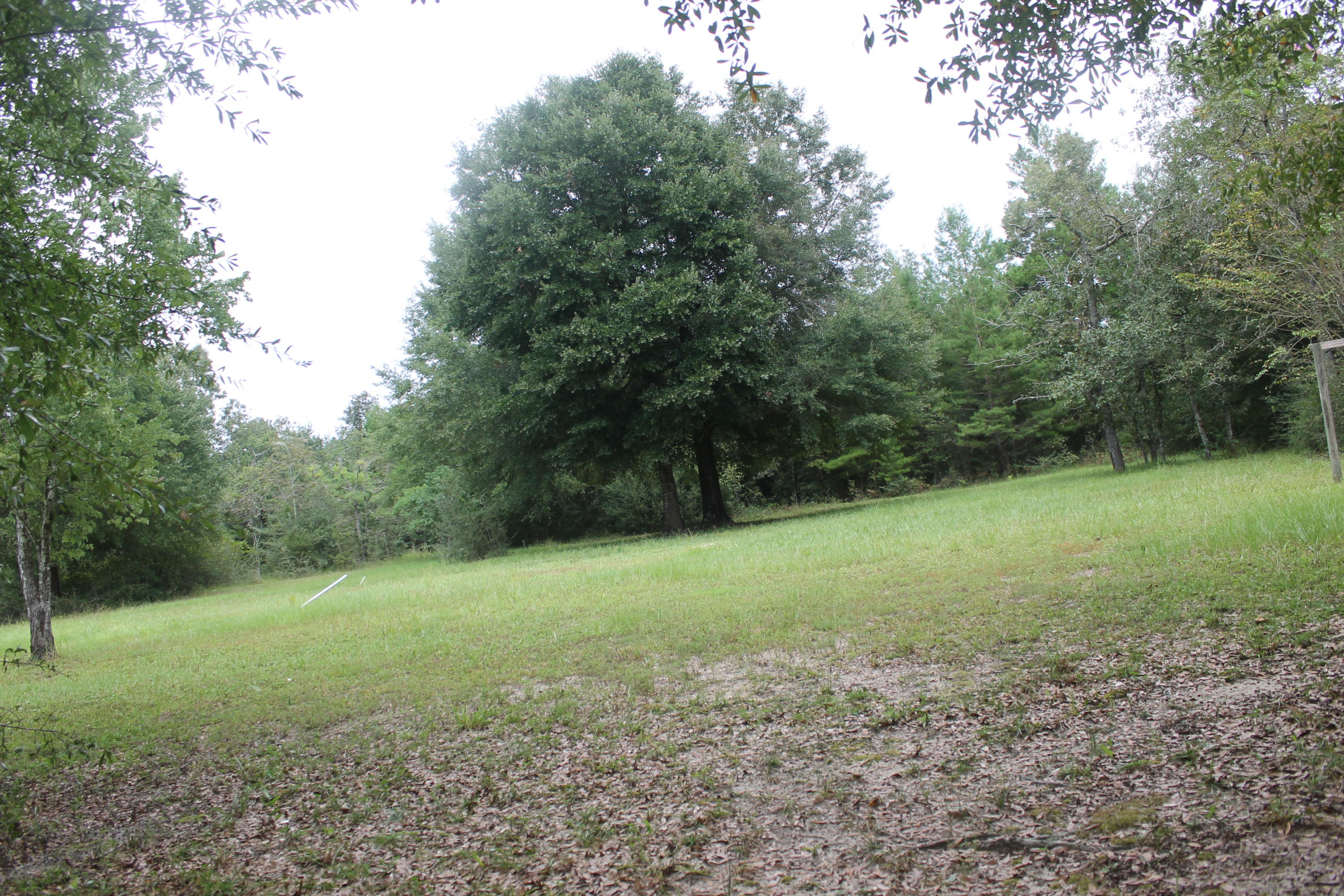 94 Sager Lane Crestview, FL 32539 - Photo 2 of 38 a view of a field with trees in the background