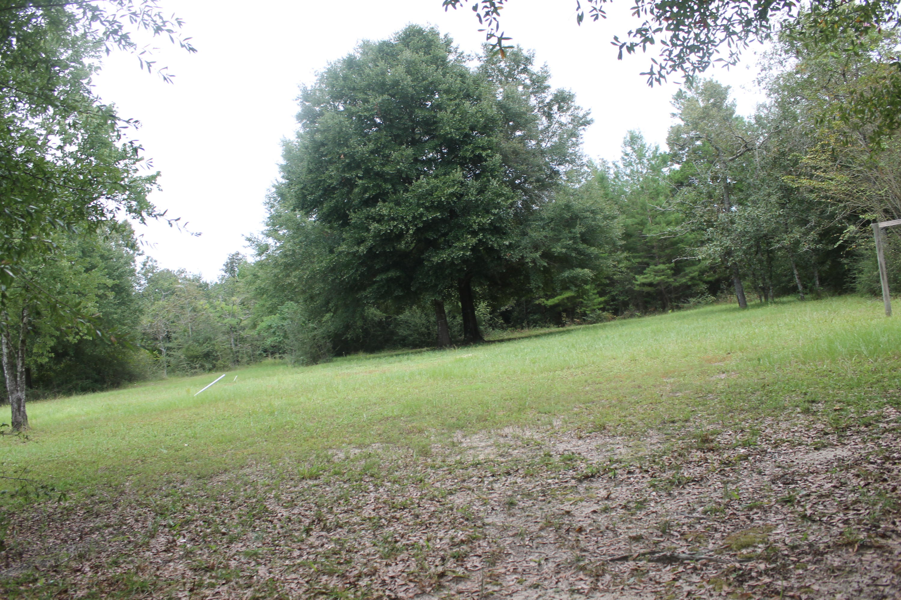 94 Sager Lane Crestview, FL 32539 - Photo 12 of 38 a view of outdoor space and yard