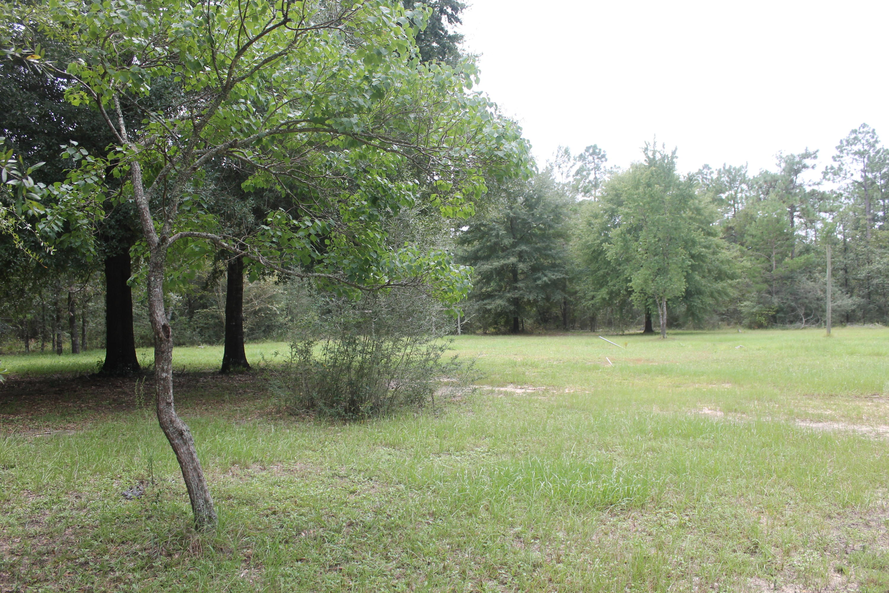94 Sager Lane Crestview, FL 32539 - Photo 13 of 38 a view of a backyard