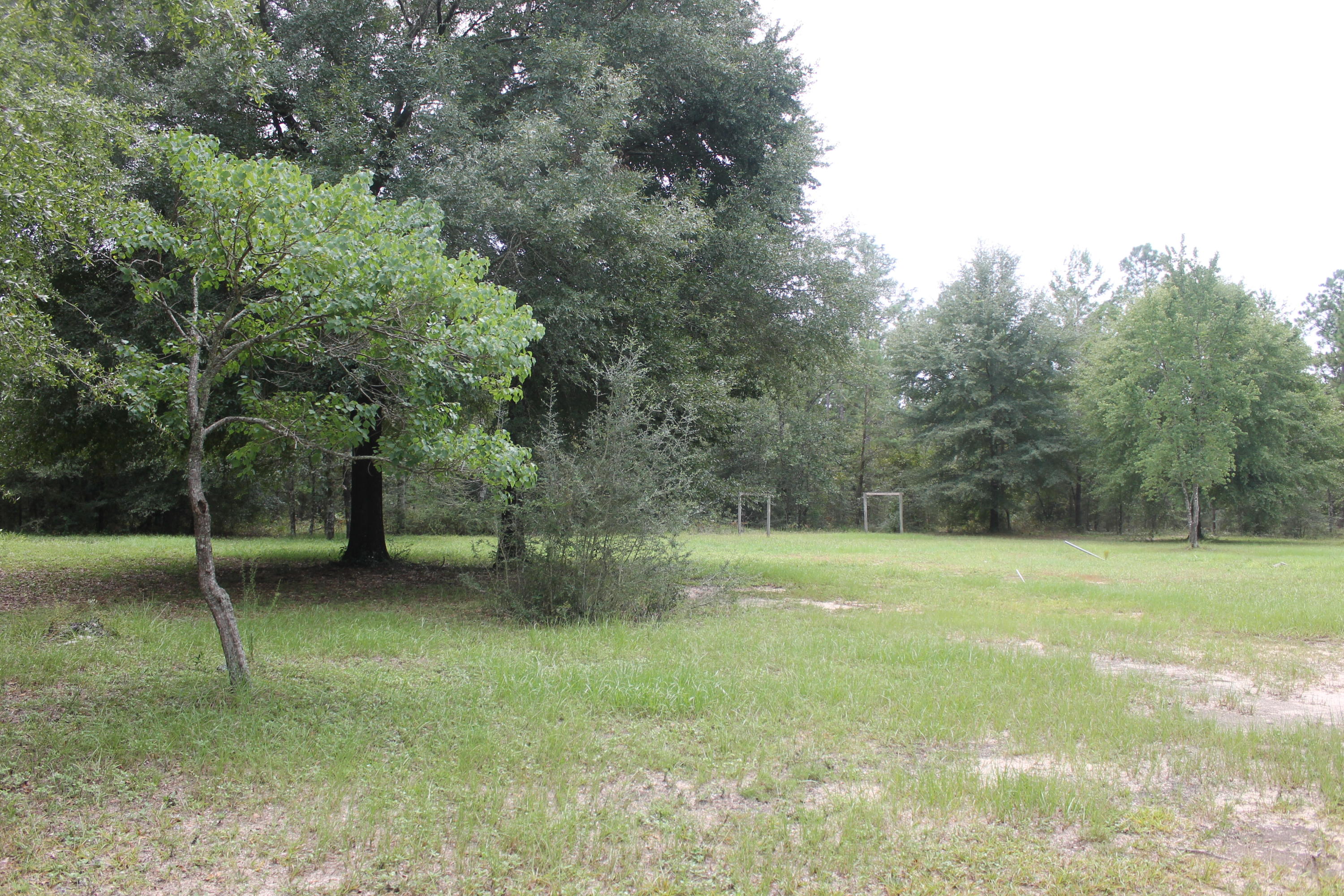 94 Sager Lane Crestview, FL 32539 - Photo 15 of 38 a view of outdoor space with deck and yard