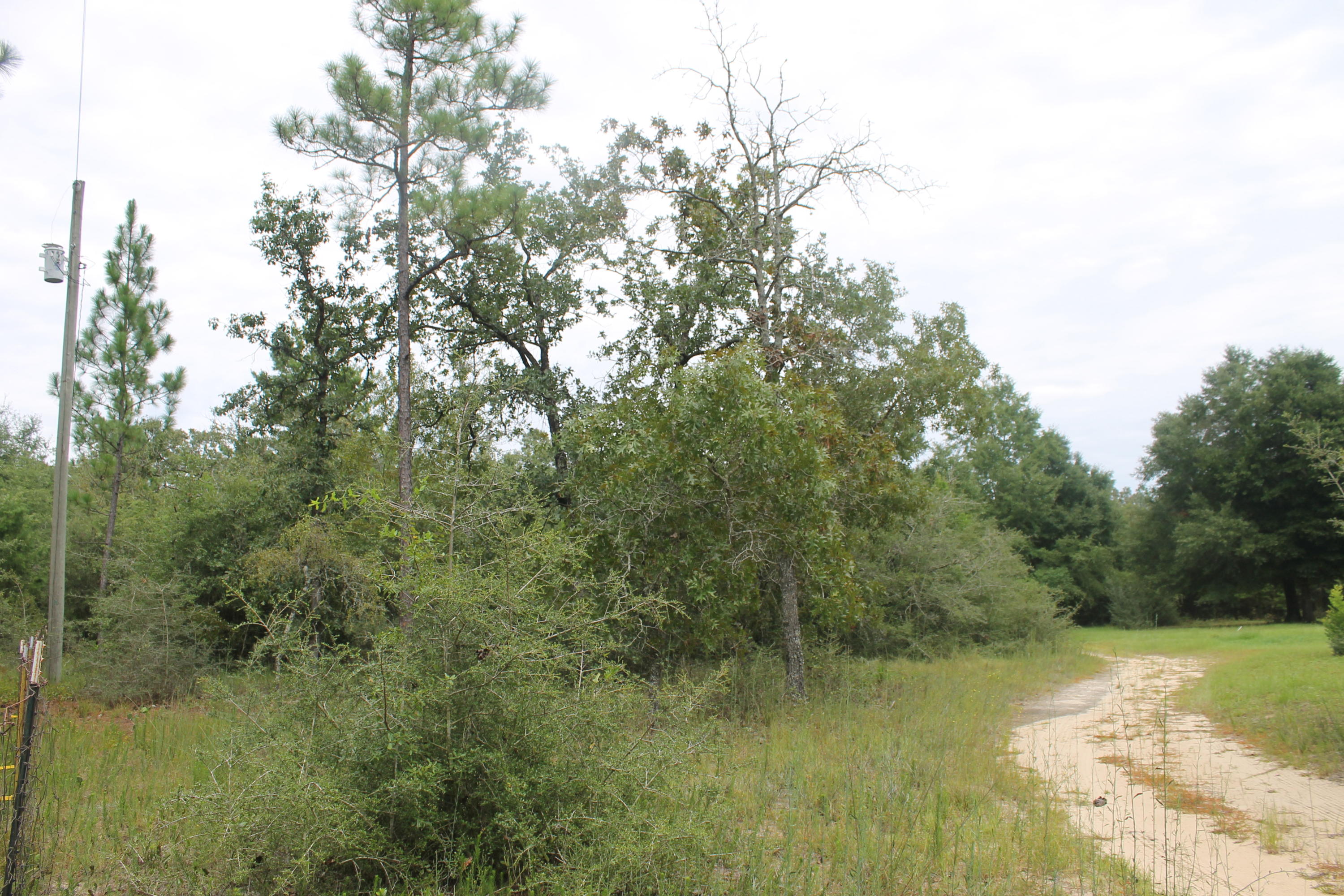 94 Sager Lane Crestview, FL 32539 - Photo 18 of 38 a view of a field of grass and trees