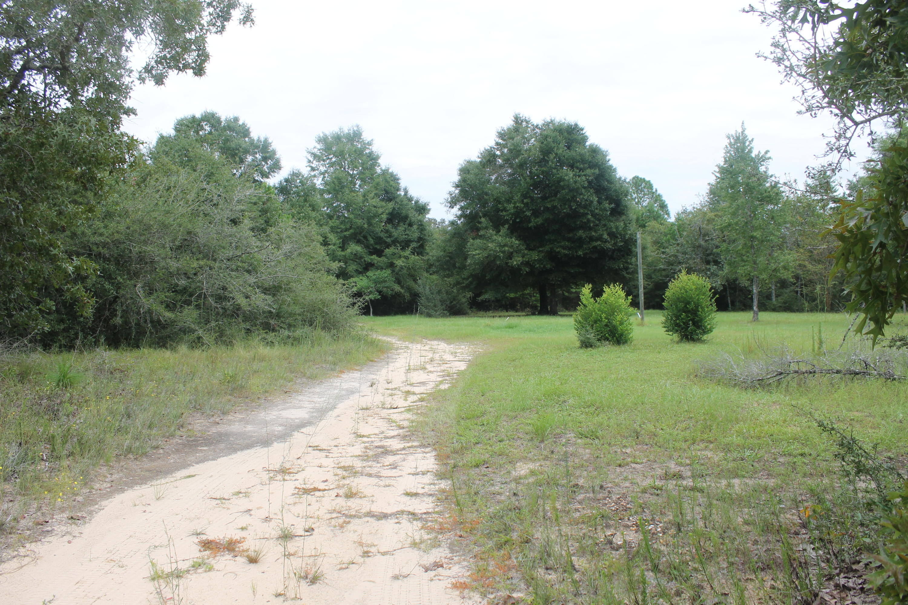 94 Sager Lane Crestview, FL 32539 - Photo 21 of 38 a view of backyard with green space